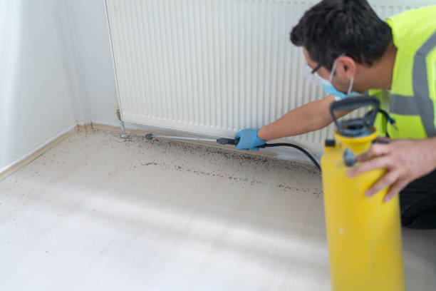 Best Pest Removal Services  in Avon By The Sea, NJ